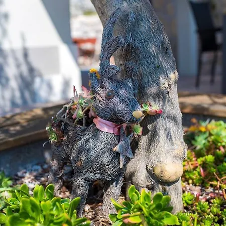 別荘 Isolated Paradise Adio Mare Brac ミルナ